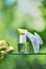 Есенція для волосся ANILLO Lime Sunday Refresh Hair Essence, 50 мл NC002978 фото 2
