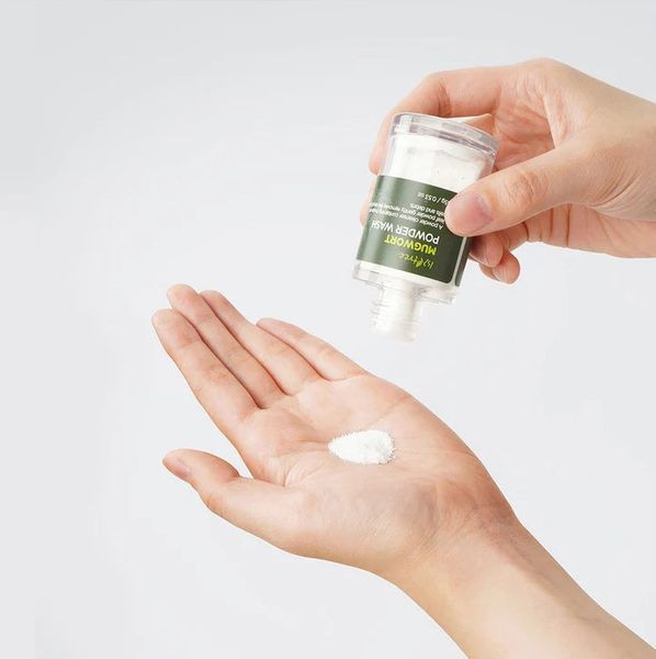 Пудра ензимна з екстрактом полину Isntree Mugwort Calming Powder Wash 15 г NC001246 фото
