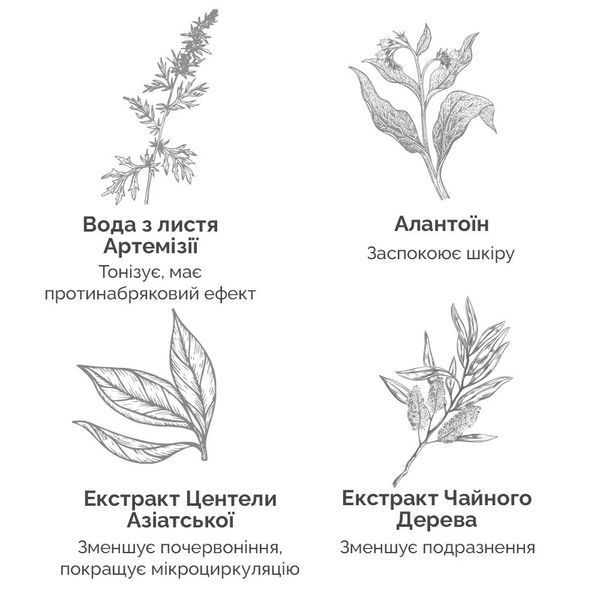 Пілінг &ndash; диски з BHA і PHA - кислотами Needly Daily Toner Pad, 60 шт NC001278 фото