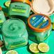 Скраб для тіла Tree Hut Coconut Lime Sugar Scrub 510g NC001123 фото 2