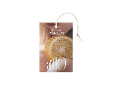 Парфумоване саше ANILLO Amber 528 Perfume Sachet, 7 г NC004012 фото
