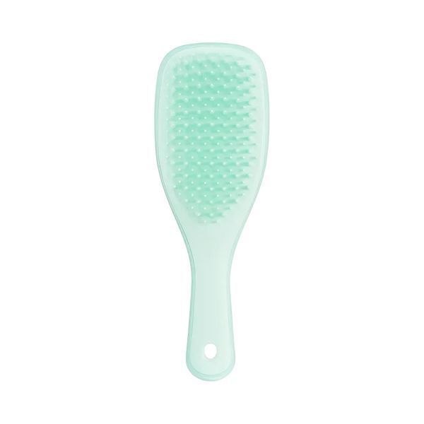 Щітка для волосся Tangle Teezer The Ultimate Detangler Mini Fine & Fragile Jade Lagoon NC003861 фото