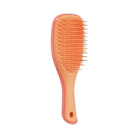 Щітка для волосся Tangle Teezer The Ultimate Detangler Mini Salmon Pink & Apricot NC002305 фото