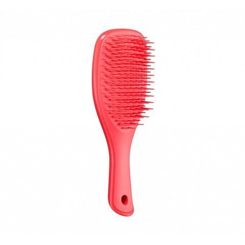 Щітка для волосся Tangle Teezer The Ultimate Detangler Mini Pink Punch NC001408 фото